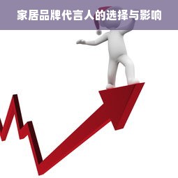 家居品牌代言人的选择与影响