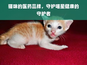 猫咪的医药品牌，守护喵星健康的守护者