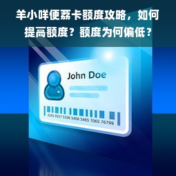 羊小咩便荔卡额度攻略，如何提高额度？额度为何偏低？