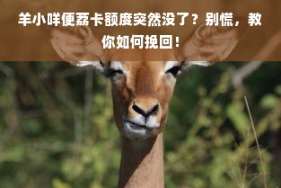 羊小咩便荔卡包额度提升攻略，从套取到增加，全方位指南