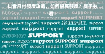 抖音月付额度攻略，如何提高额度？新手必看！