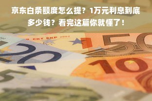 京东白条额度怎么提？1万元利息到底多少钱？看完这篇你就懂了！