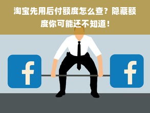 淘宝先用后付额度怎么查？隐藏额度你可能还不知道！