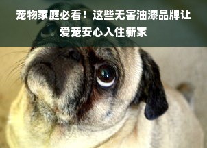 宠物家庭必看！这些无害油漆品牌让爱宠安心入住新家