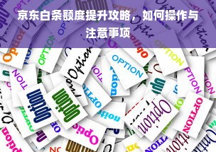 京东白条额度提升攻略，如何操作与注意事项