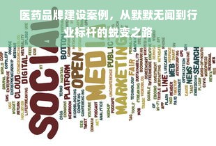 医药品牌建设案例，从默默无闻到行业标杆的蜕变之路
