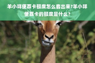 羊小咩便荔卡额度怎么套出来?羊小咩便荔卡的额度是什么?