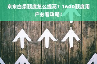 京东白条额度怎么提高？1600额度用户必看攻略！