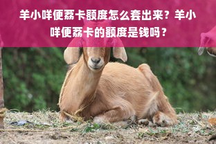 羊小咩便荔卡额度怎么套出来？羊小咩便荔卡的额度是钱吗？