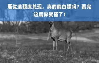 鹿优选额度兑现，真的能白嫖吗？看完这篇你就懂了！