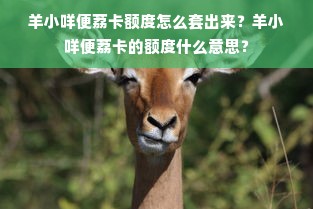 羊小咩便荔卡额度怎么套出来？羊小咩便荔卡的额度什么意思？