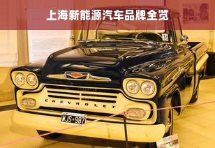 上海新能源汽车品牌全览