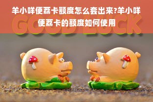 羊小咩便荔卡额度怎么套出来?羊小咩便荔卡的额度如何使用