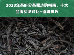 2023年茶叶分茶器选购指南，十大品牌实测对比+避坑技巧