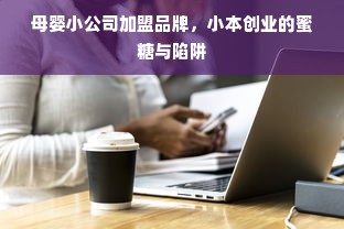 母婴小公司加盟品牌，小本创业的蜜糖与陷阱