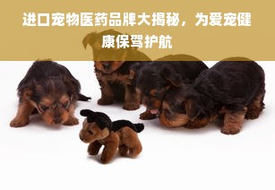 进口宠物医药品牌大揭秘，为爱宠健康保驾护航