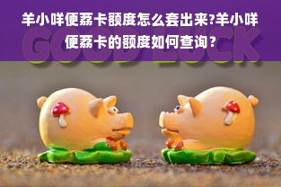 羊小咩便荔卡额度怎么套出来?羊小咩便荔卡的额度如何查询？