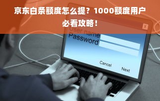 京东白条额度怎么提？1000额度用户必看攻略！