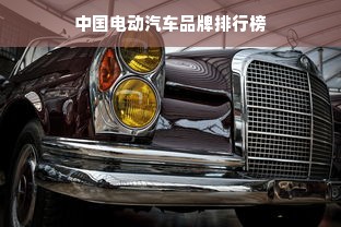 中国电动汽车品牌排行榜