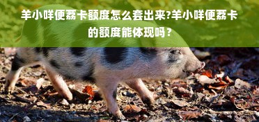 羊小咩便荔卡额度怎么套出来?羊小咩便荔卡的额度能体现吗？
