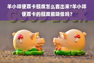 羊小咩便荔卡额度怎么套出来?羊小咩便荔卡的额度能降低吗？