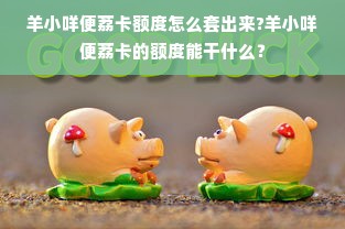 羊小咩便荔卡额度怎么套出来?羊小咩便荔卡的额度能干什么？