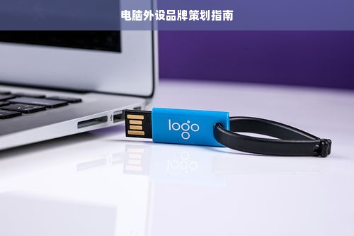 电脑外设品牌策划指南