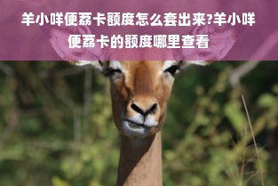 羊小咩便荔卡额度怎么套出来?羊小咩便荔卡的额度哪里查看
