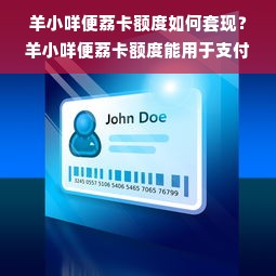 羊小咩便荔卡额度如何套现？羊小咩便荔卡额度能用于支付吗？