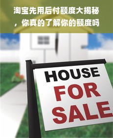淘宝先用后付额度大揭秘，你真的了解你的额度吗？