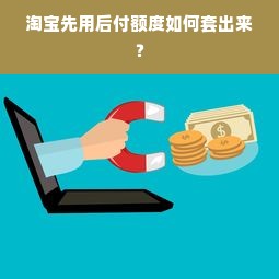 淘宝先用后付额度如何套出来？