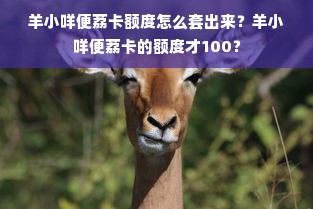 羊小咩便荔卡额度怎么套出来？羊小咩便荔卡的额度才100？