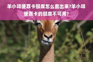 羊小咩便荔卡额度怎么套出来?羊小咩便荔卡的额度不可用?