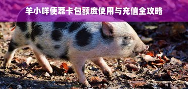 羊小咩便荔卡包额度使用与充值全攻略