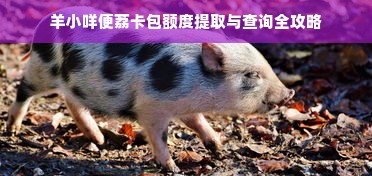 羊小咩便荔卡包额度提取与查询全攻略