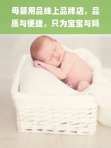 母婴用品线上品牌店，品质与便捷，只为宝宝与妈妈