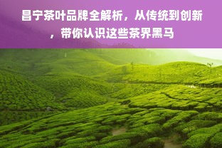 昌宁茶叶品牌全解析，从传统到创新，带你认识这些茶界黑马