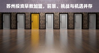 苏州投资早教加盟，前景、挑战与机遇并存