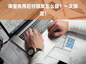 淘宝先用后付额度怎么提？一文搞定！