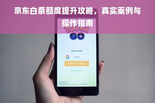 京东白条额度提升攻略，真实案例与操作指南