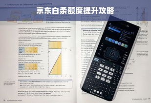 京东白条额度提升攻略