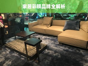 家居彩膜品牌全解析