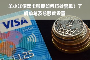 羊小咩便荔卡额度如何巧妙套现？了解单笔及总额度设置