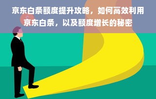 京东白条额度提升攻略，如何高效利用京东白条，以及额度增长的秘密
