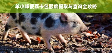 羊小咩便荔卡包额度提取与查询全攻略
