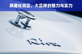 琪雅化妆品，大品牌的魅力与实力