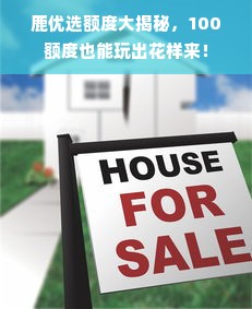 鹿优选额度大揭秘，100额度也能玩出花样来！