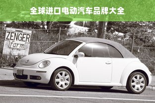 全球进口电动汽车品牌大全