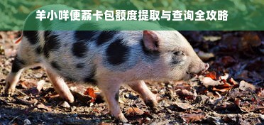 羊小咩便荔卡包额度提取与查询全攻略