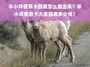 羊小咩便荔卡额度怎么套出来？羊小咩便荔卡大家额度多少钱？